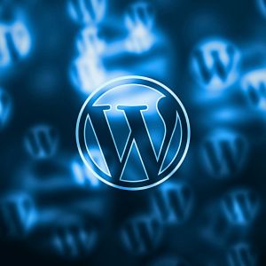 Wordpress Tool